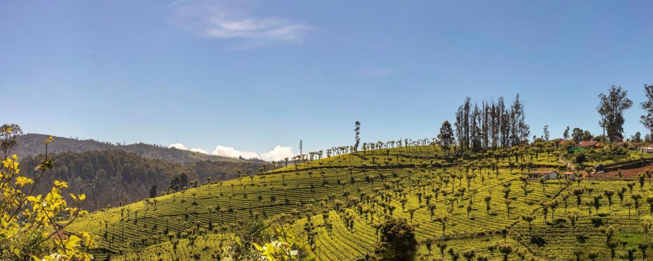 Club Mahindra Derby Green, Ooty Exterior foto